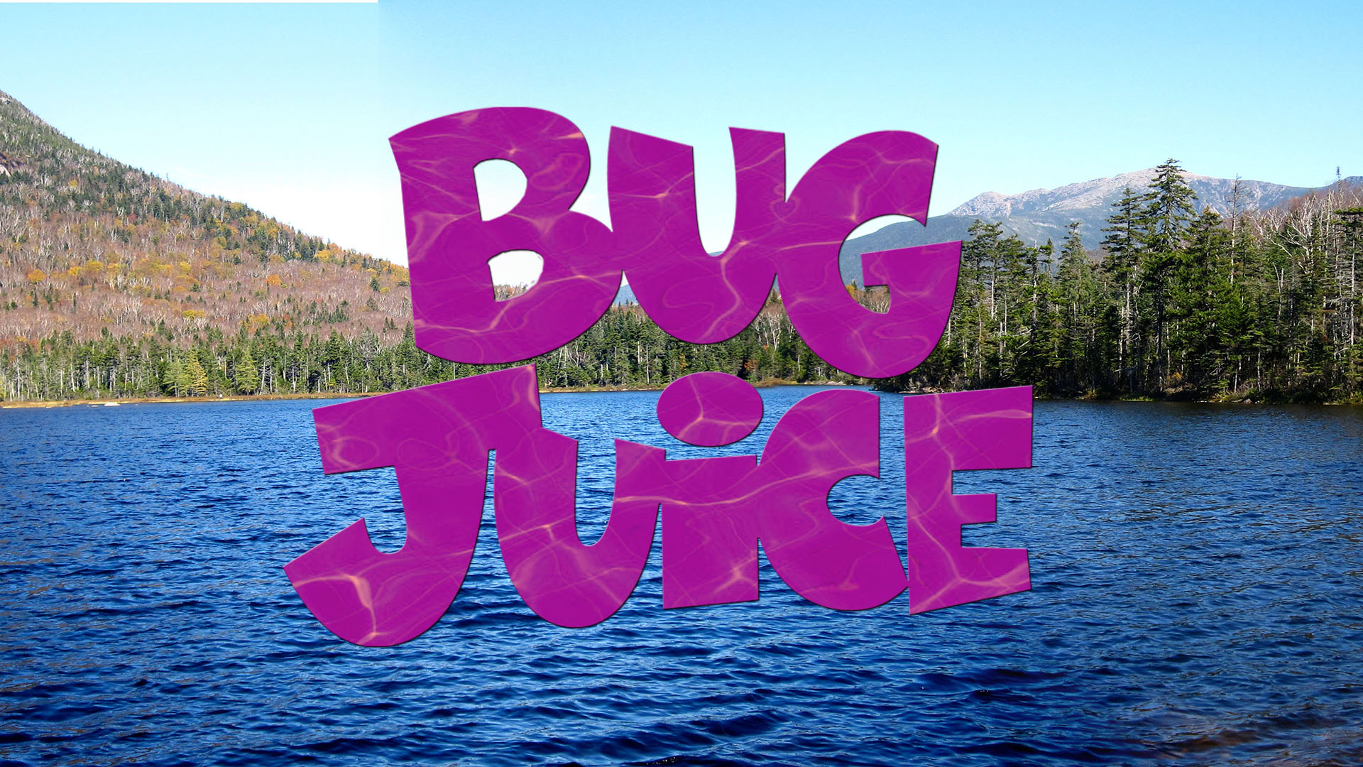 a cast photo from Bug Juice
